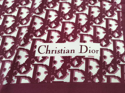 Dior Trotter Pattern Scarf 