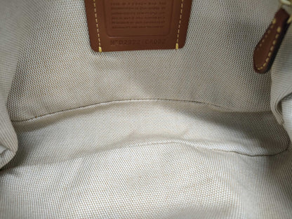 COACH Straw Shoulder Bag