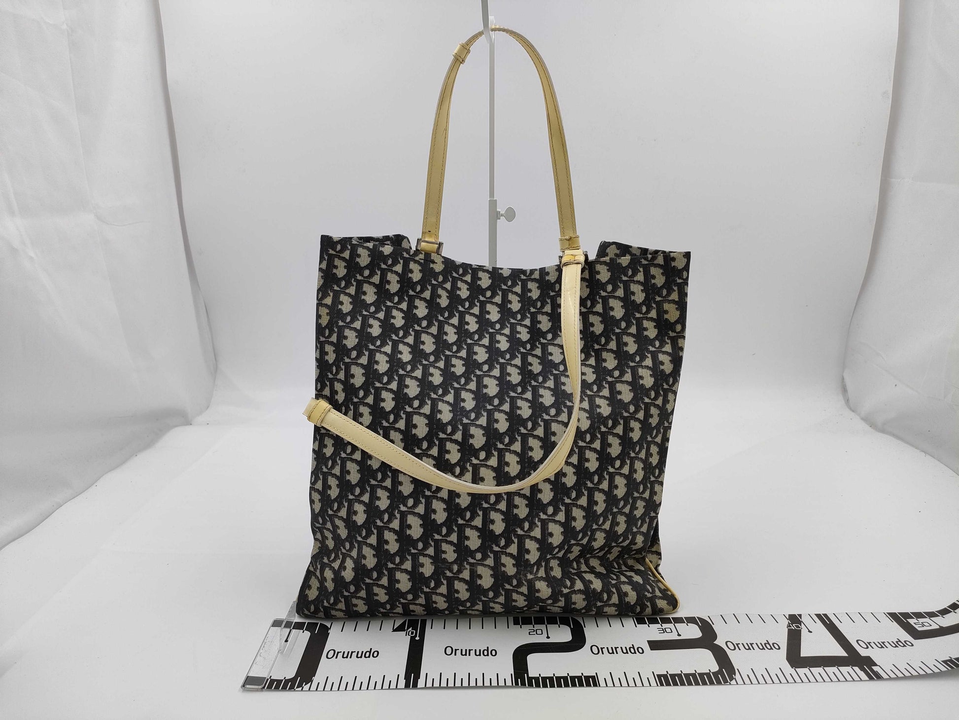 Dior Trotter Enamel Tote Bag