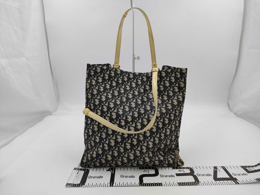 Dior Trotter Enamel Tote Bag