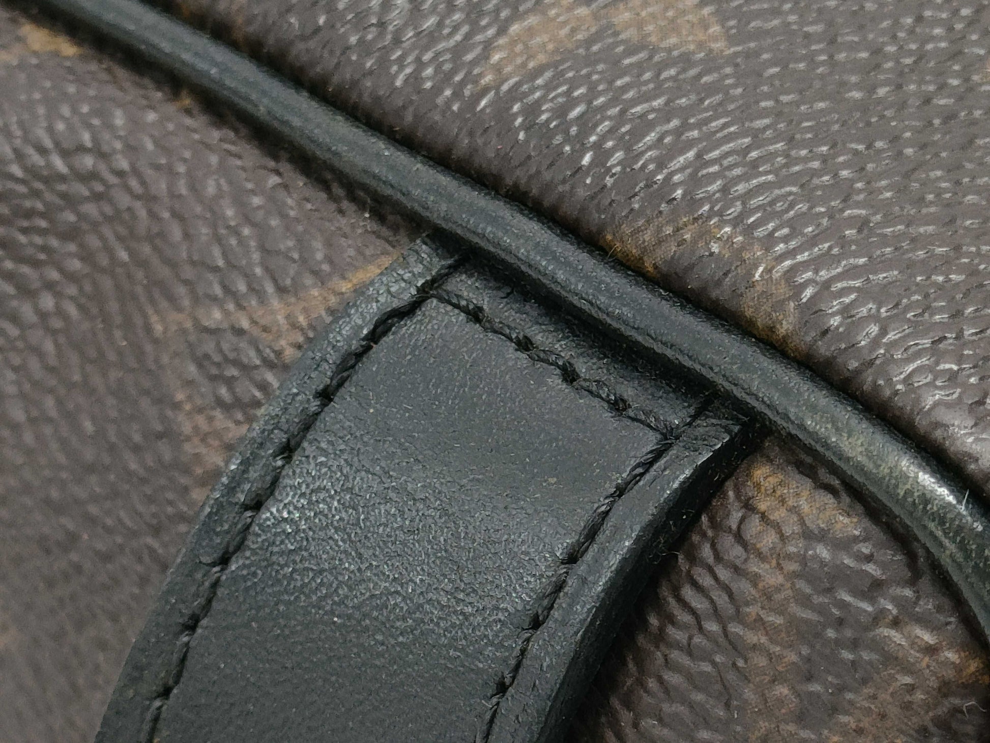 LOUIS VUITTON Monogram Truest Wallet Macassar Pouch