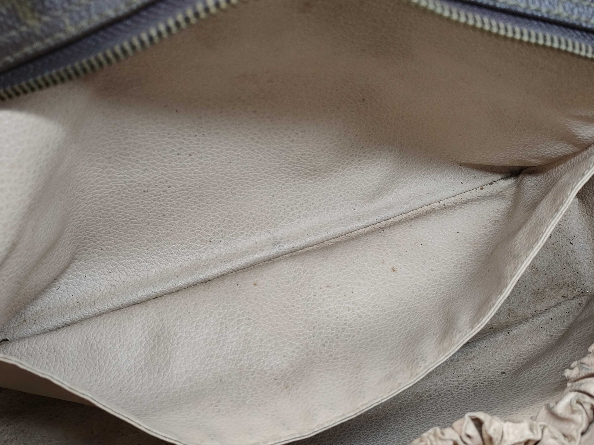 LOUIS VUITTON Monogram Truest Wallet Second Bag