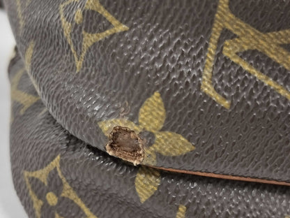 LOUIS VUITTON TH0979 Monogram M45236 Amazon Shoulder Bag