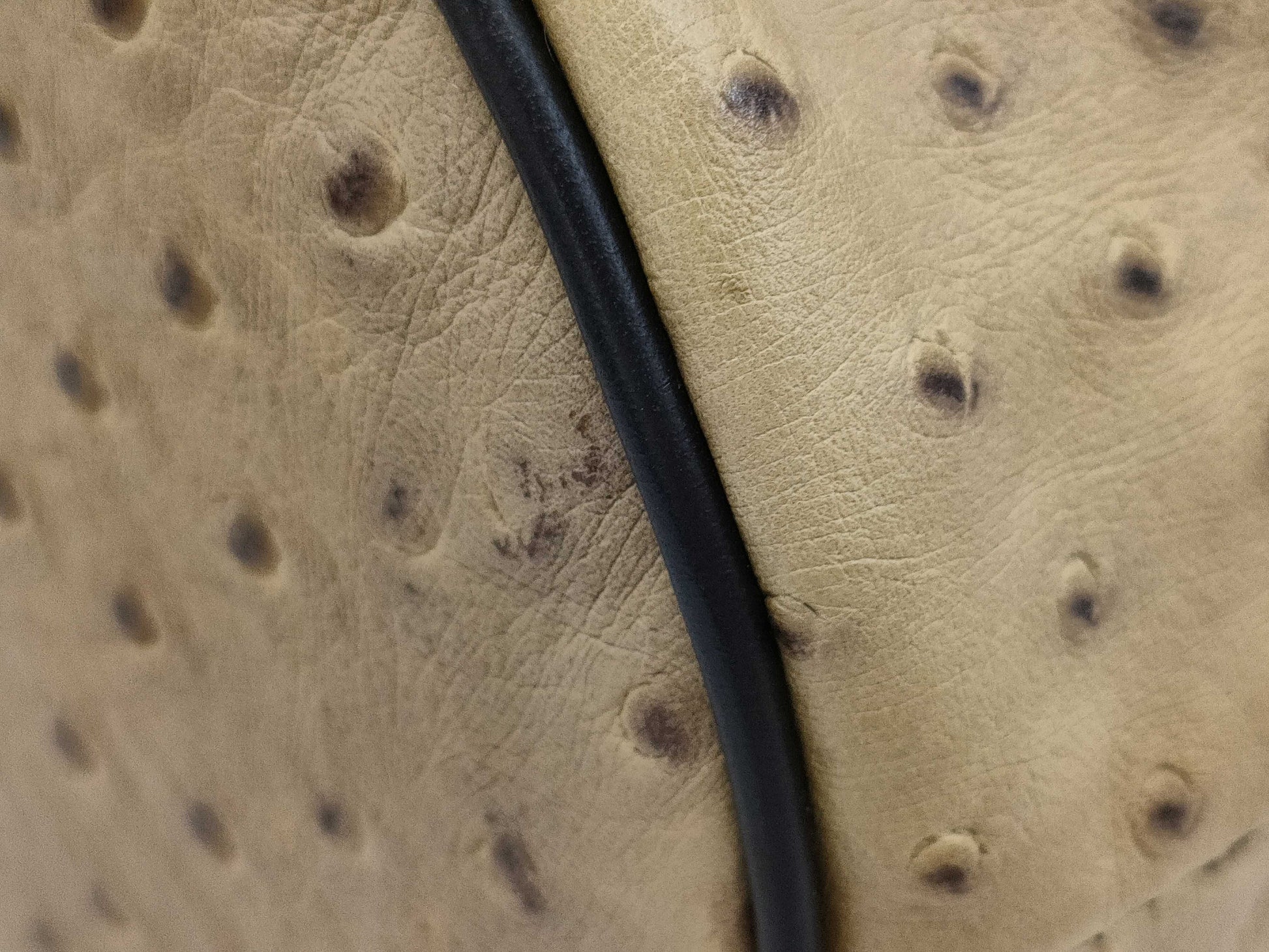 FURLA Oast Shoulder Bag