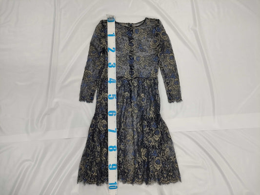 Dior sheer dress