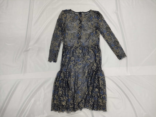 Dior sheer dress