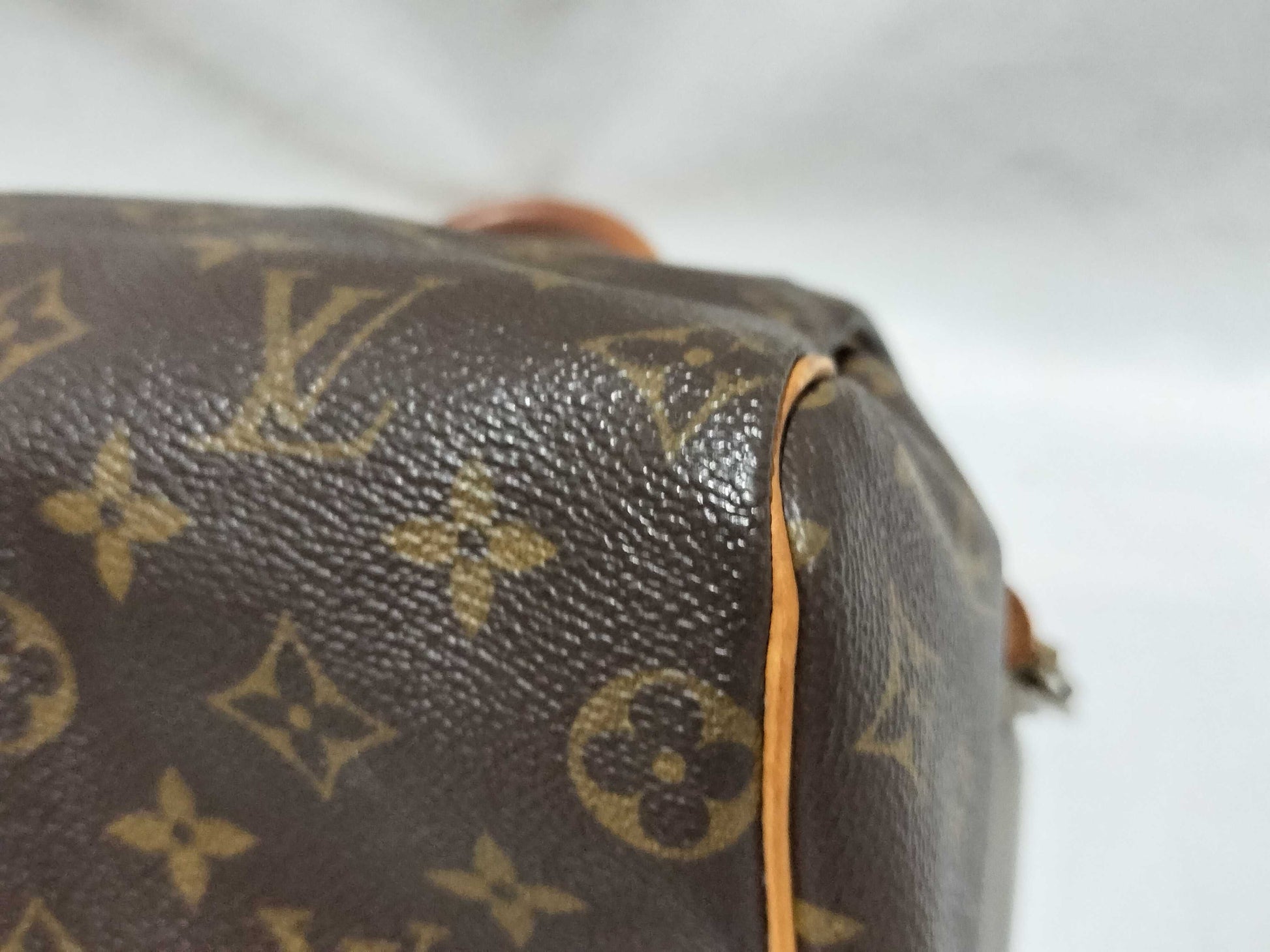 LOUIS VUITTON RFID Unverifiable SP1929 Monogram Speedy 25 Handbag
