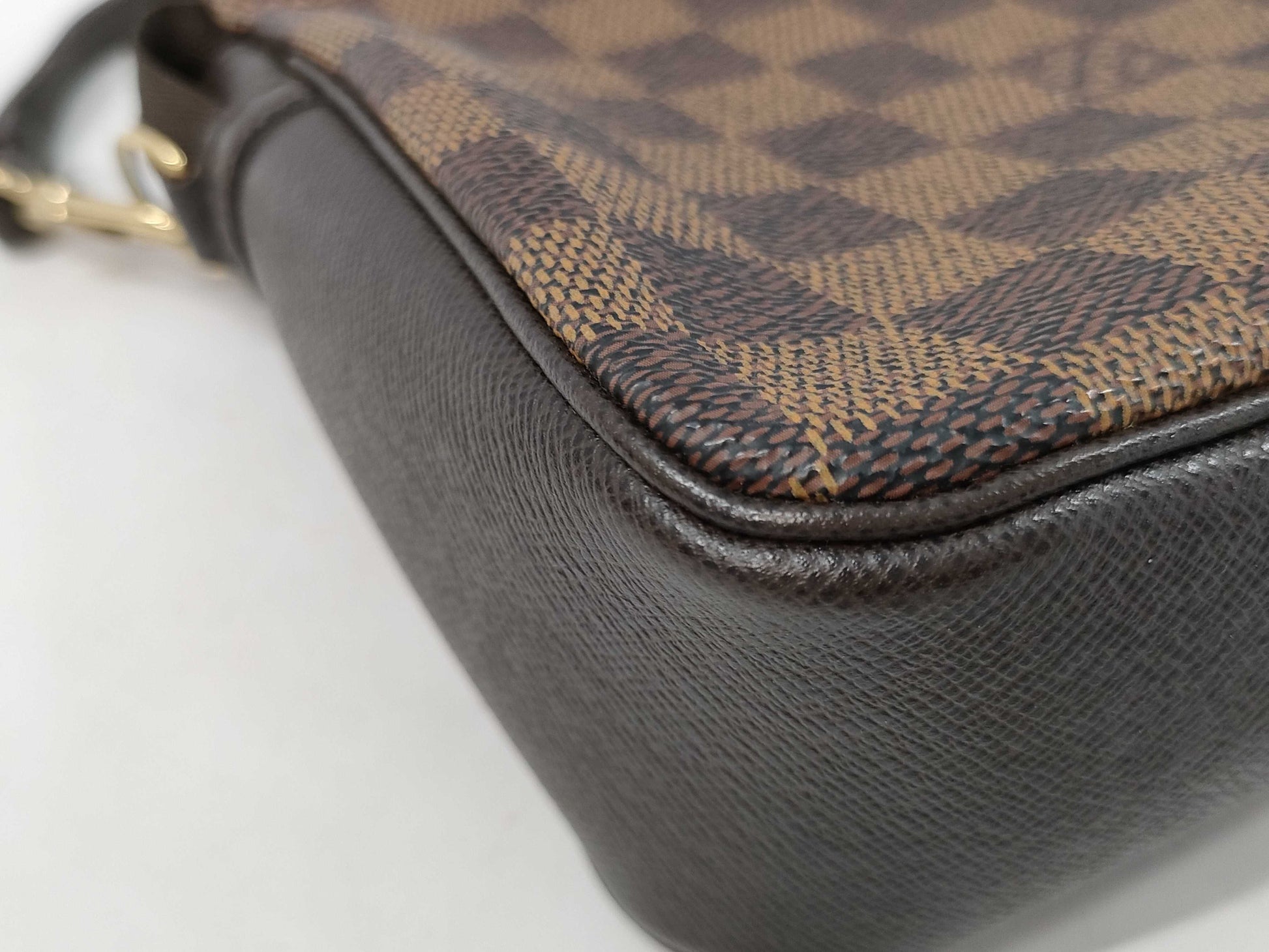 LOUIS VUITTON Damier Truth Makeup Handbag