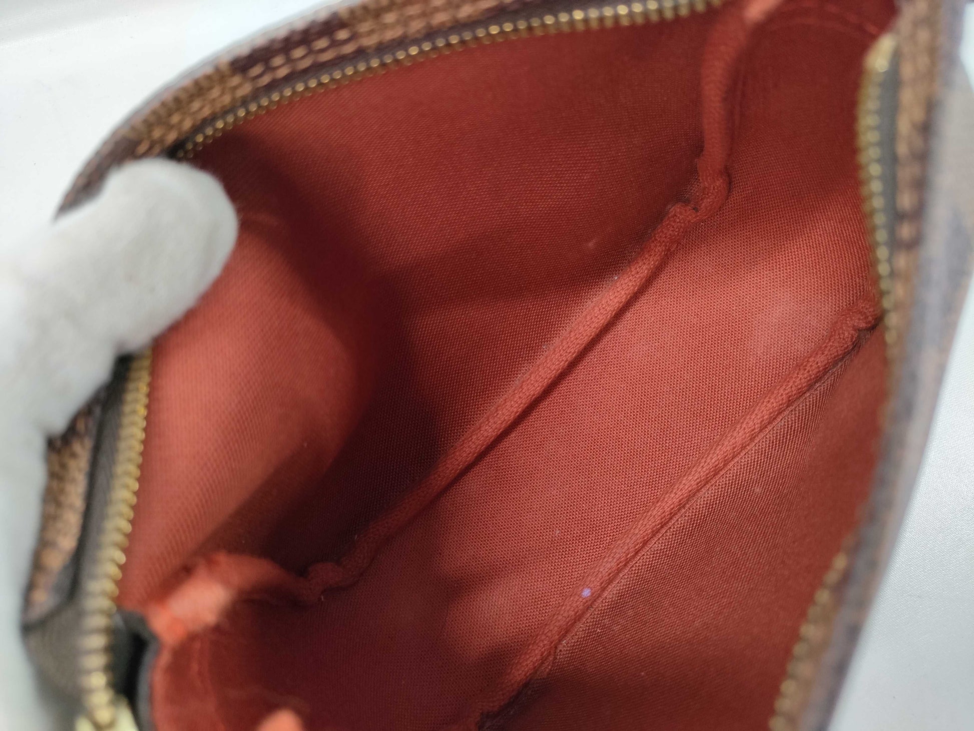 LOUIS VUITTON Damier Truth Makeup Handbag