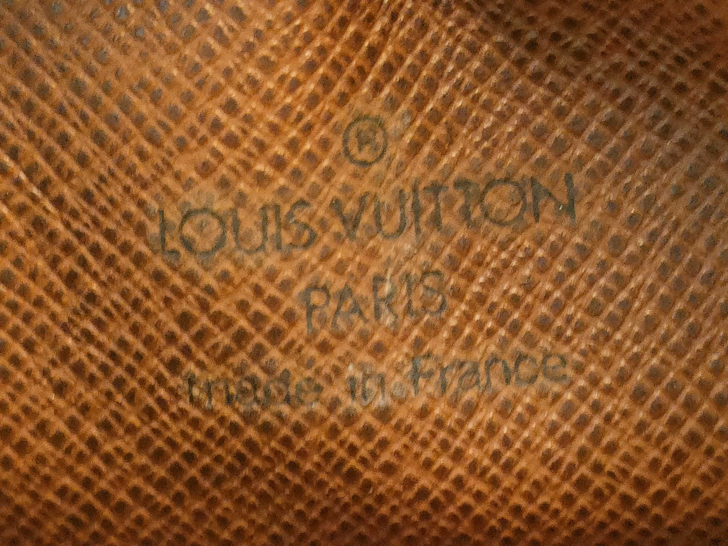 LOUIS VUITTON Monogram M45236 Amazon Shoulder Bag