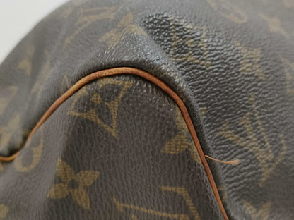 LOUIS VUITTON Monogram Speedy Handbag