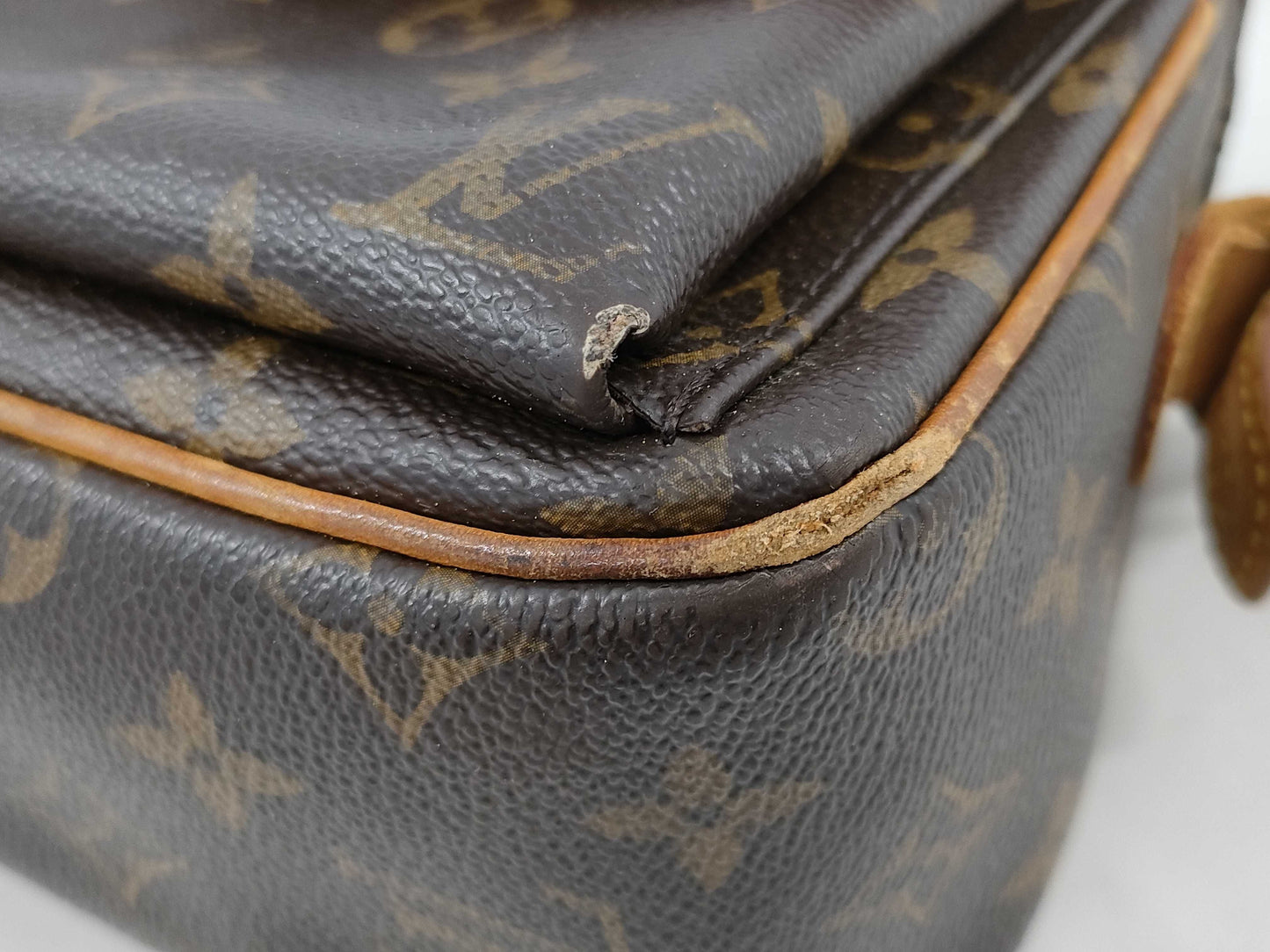 LOUIS VUITTON Monogram Viva Cite MM Shoulder Bag