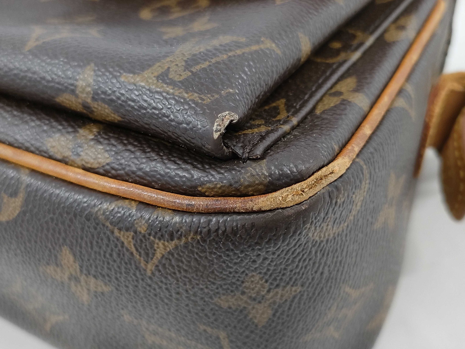 LOUIS VUITTON Monogram Viva Cite MM Shoulder Bag