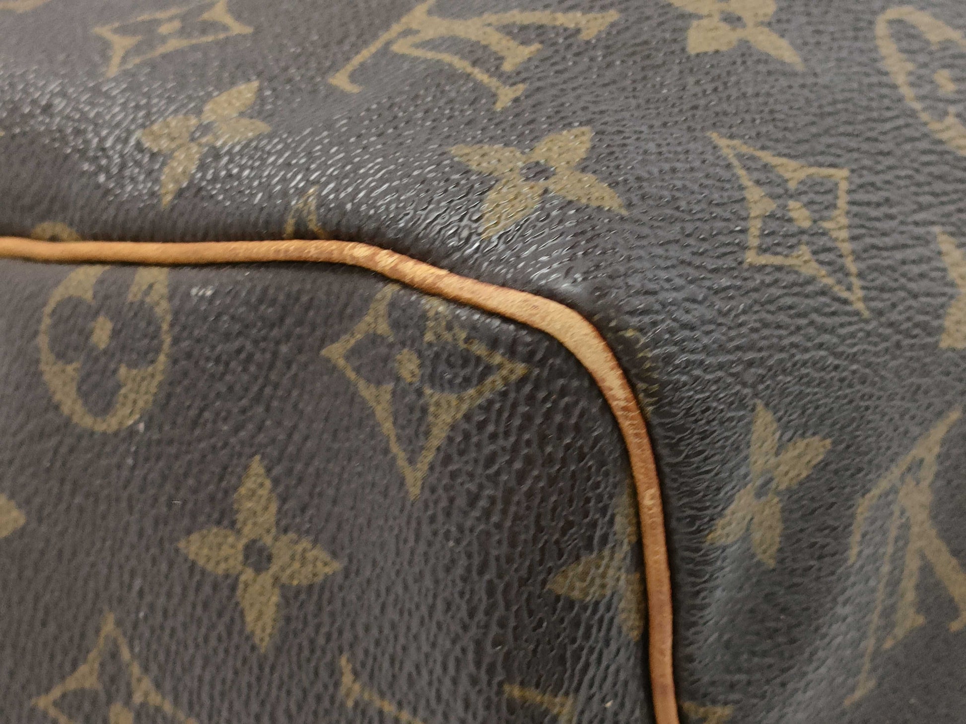 LOUIS VUITTON Speedy 30 Handbag
