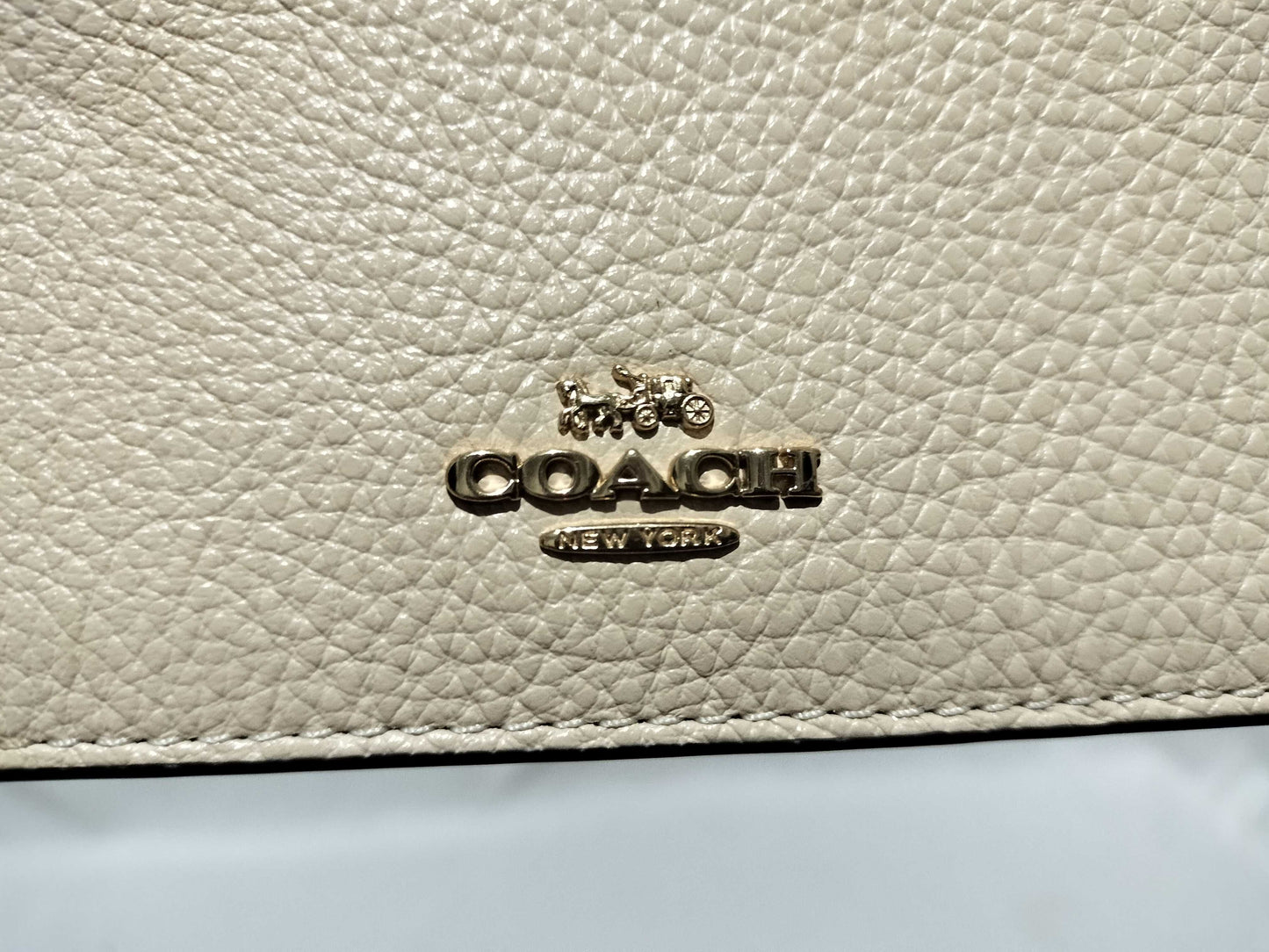 COACH Anna Foldover Clutch Shoulder Bag