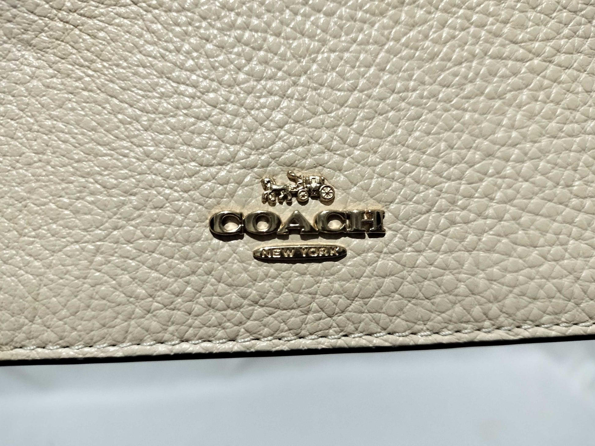 COACH Anna Foldover Clutch Shoulder Bag