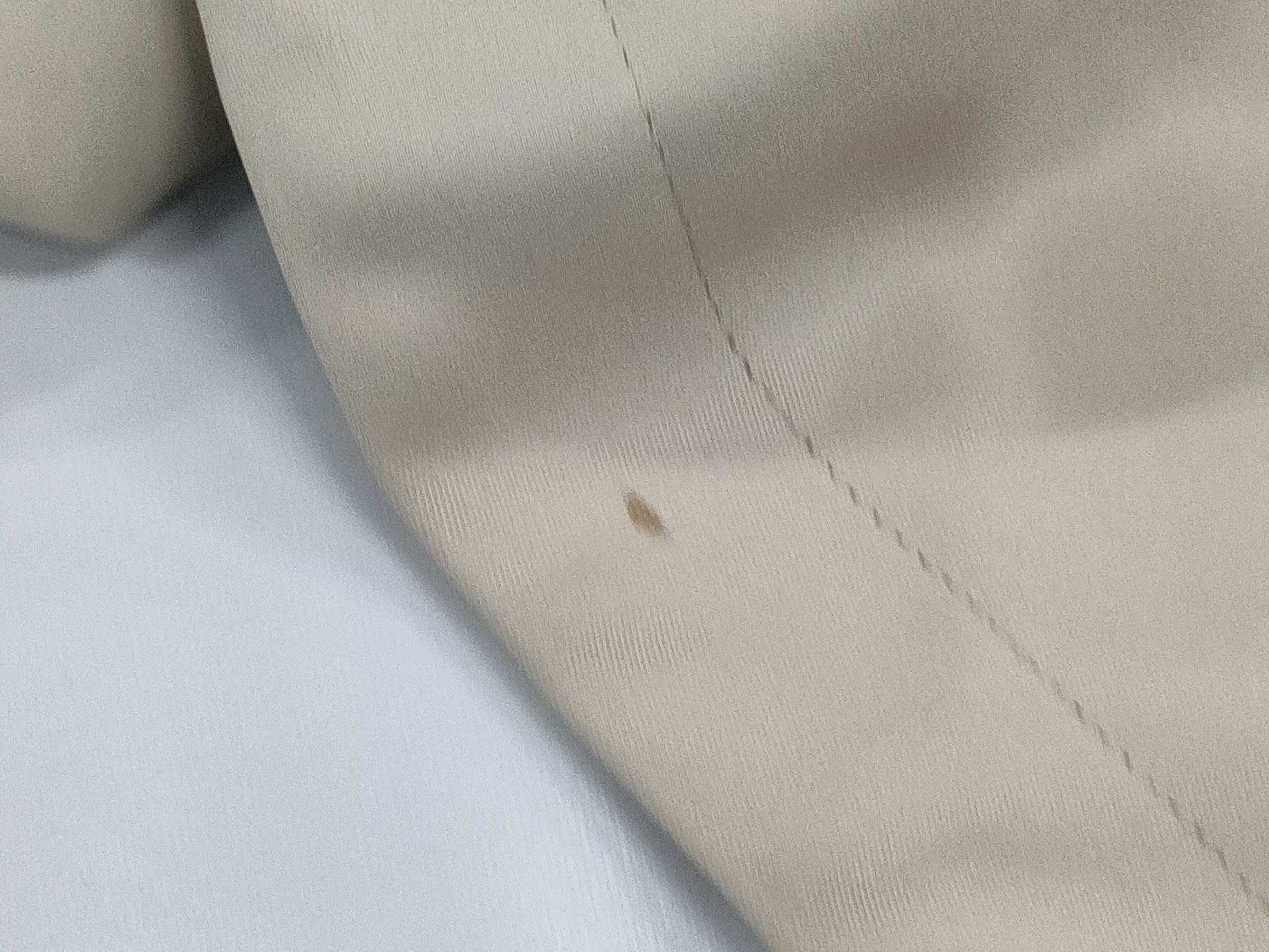 MaxMara Trench Coat