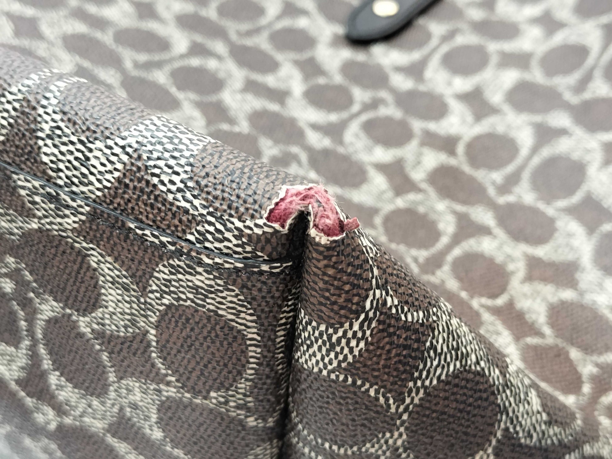 COACH Signature 4-Piece Tote Bag