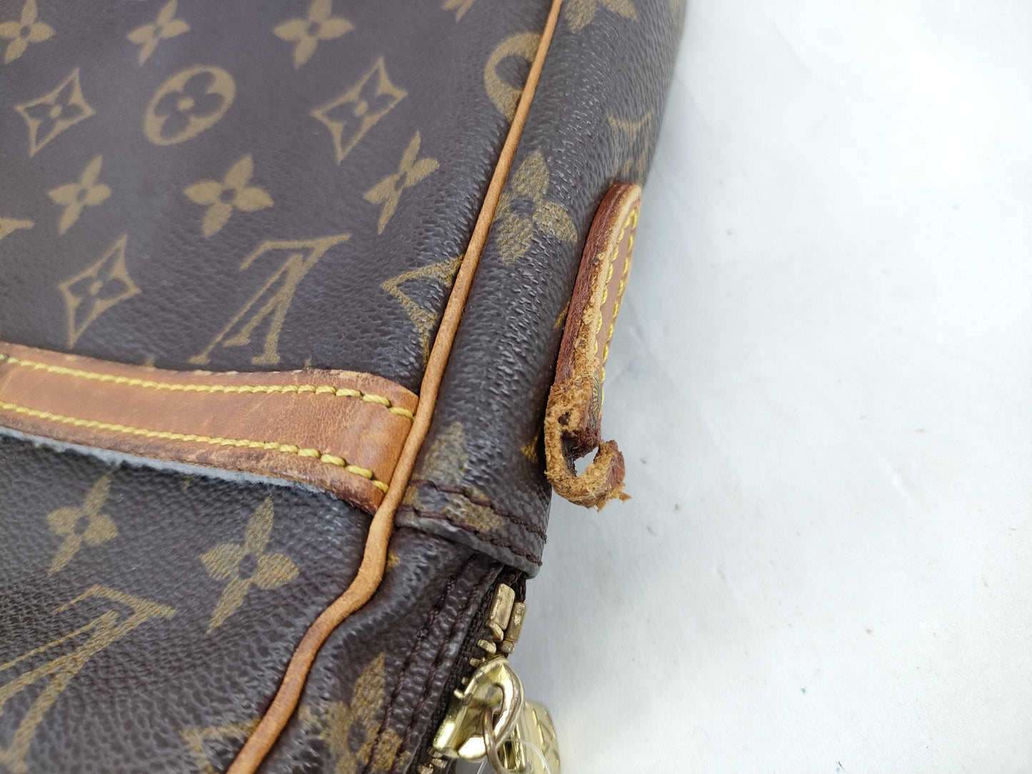 LOUIS VUITTON Monogram Danube Shoulder Bag