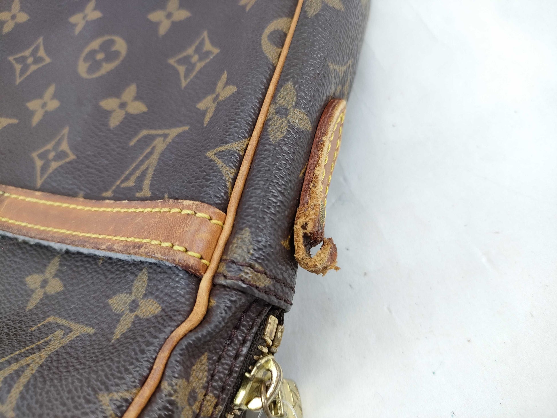 LOUIS VUITTON Monogram Danube Shoulder Bag