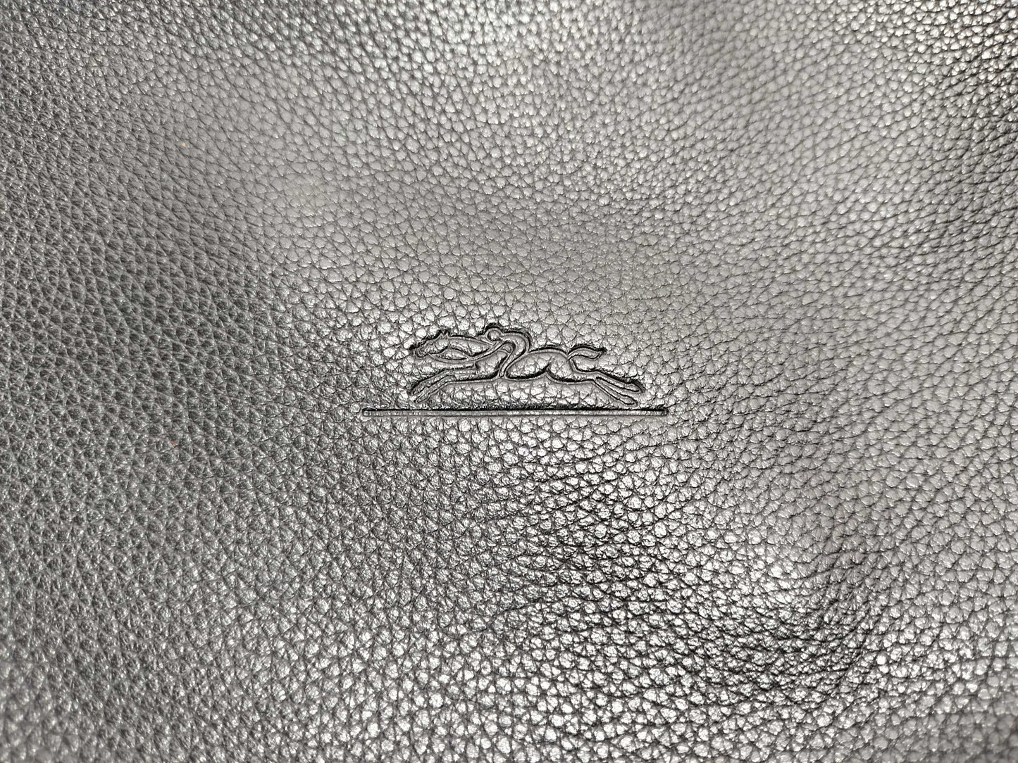 LONG CHAMP Leather/Hand/Bag Handbag