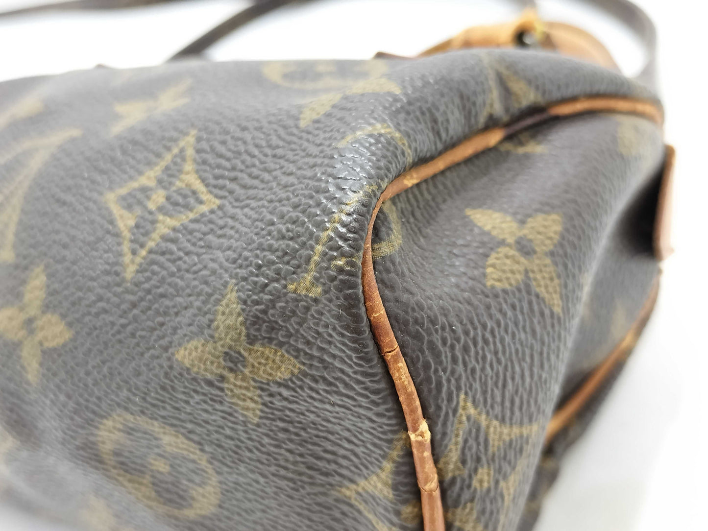 LOUIS VUITTON Monogram Mini Speedy Handbag