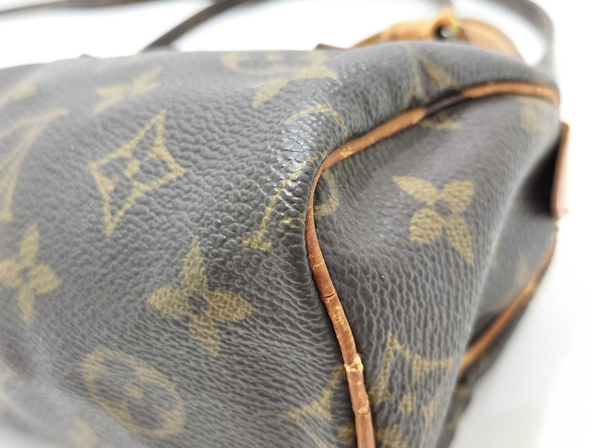 LOUIS VUITTON Monogram Mini Speedy Handbag