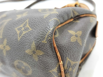LOUIS VUITTON Monogram Mini Speedy Handbag