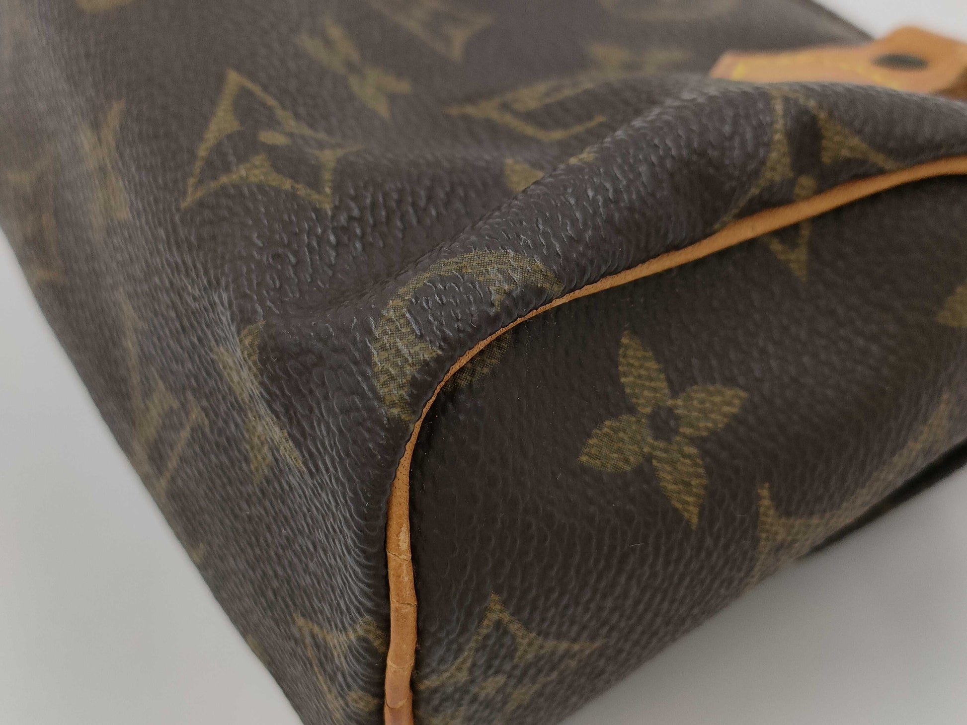 LOUIS VUITTON Monogram M41534 Mini Speedy Pouch