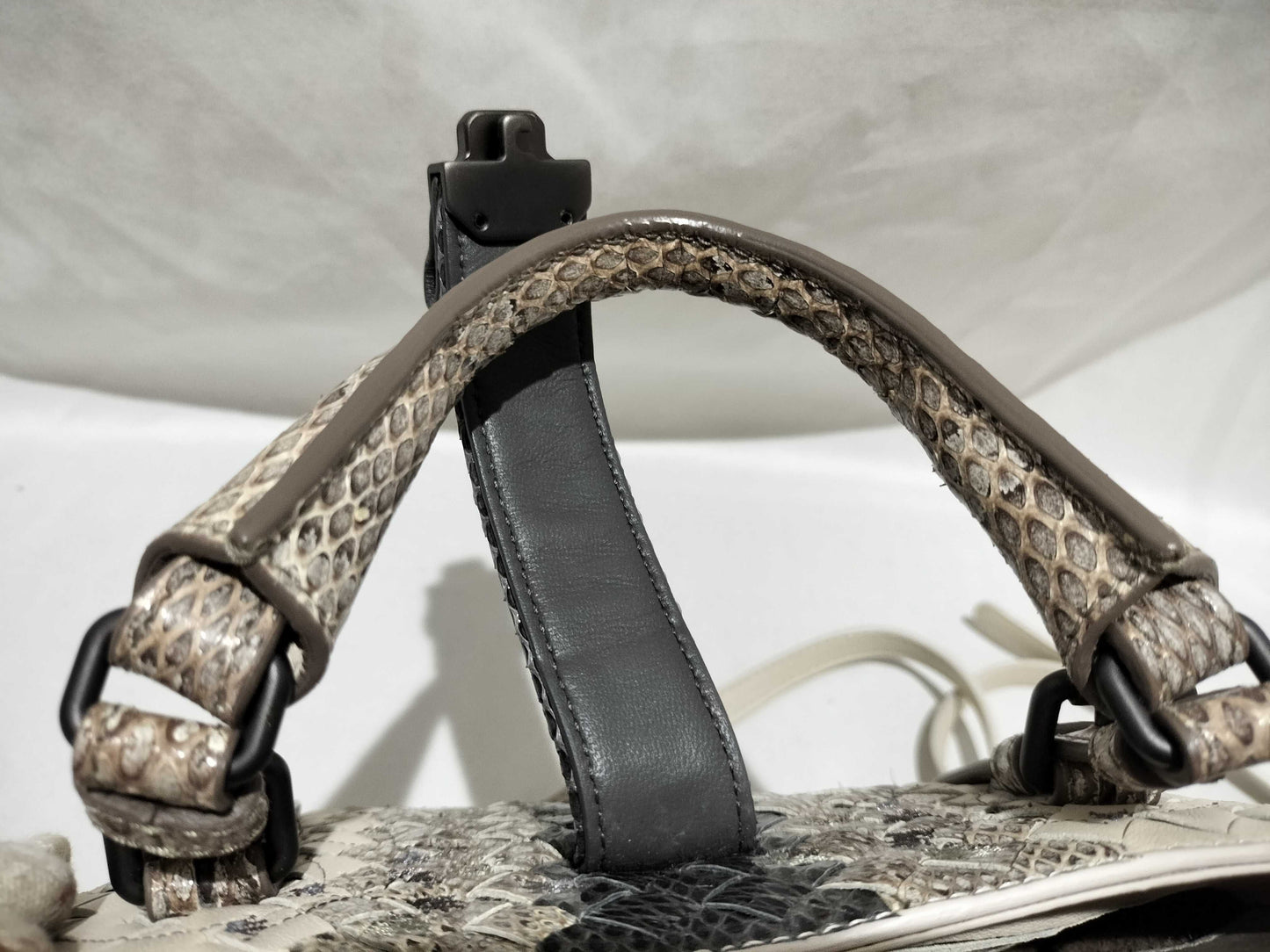 BOTTEGA VENETA Python Shoulder Bag