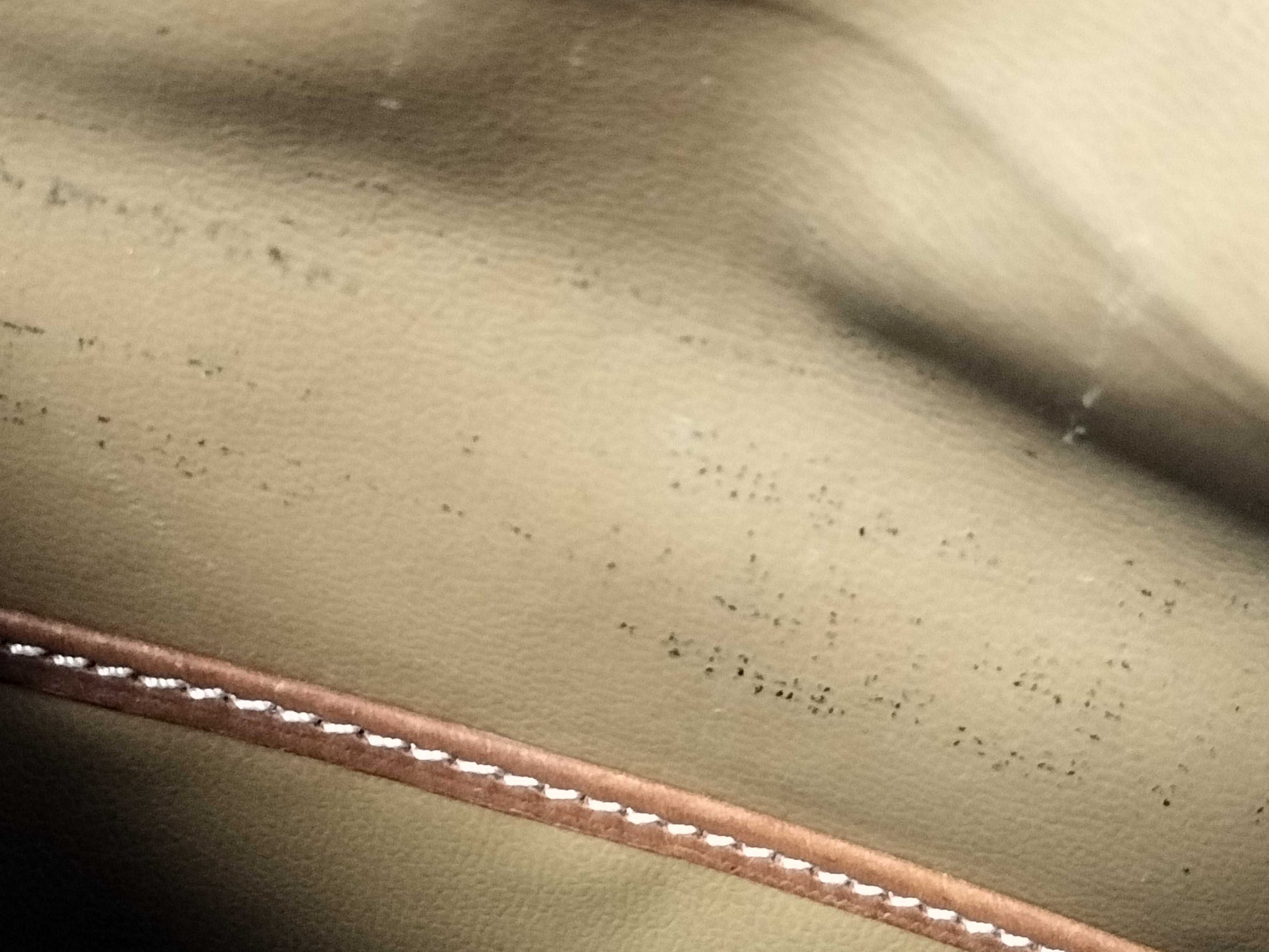 CELINE Clutch/Second Bag Clutch Bag