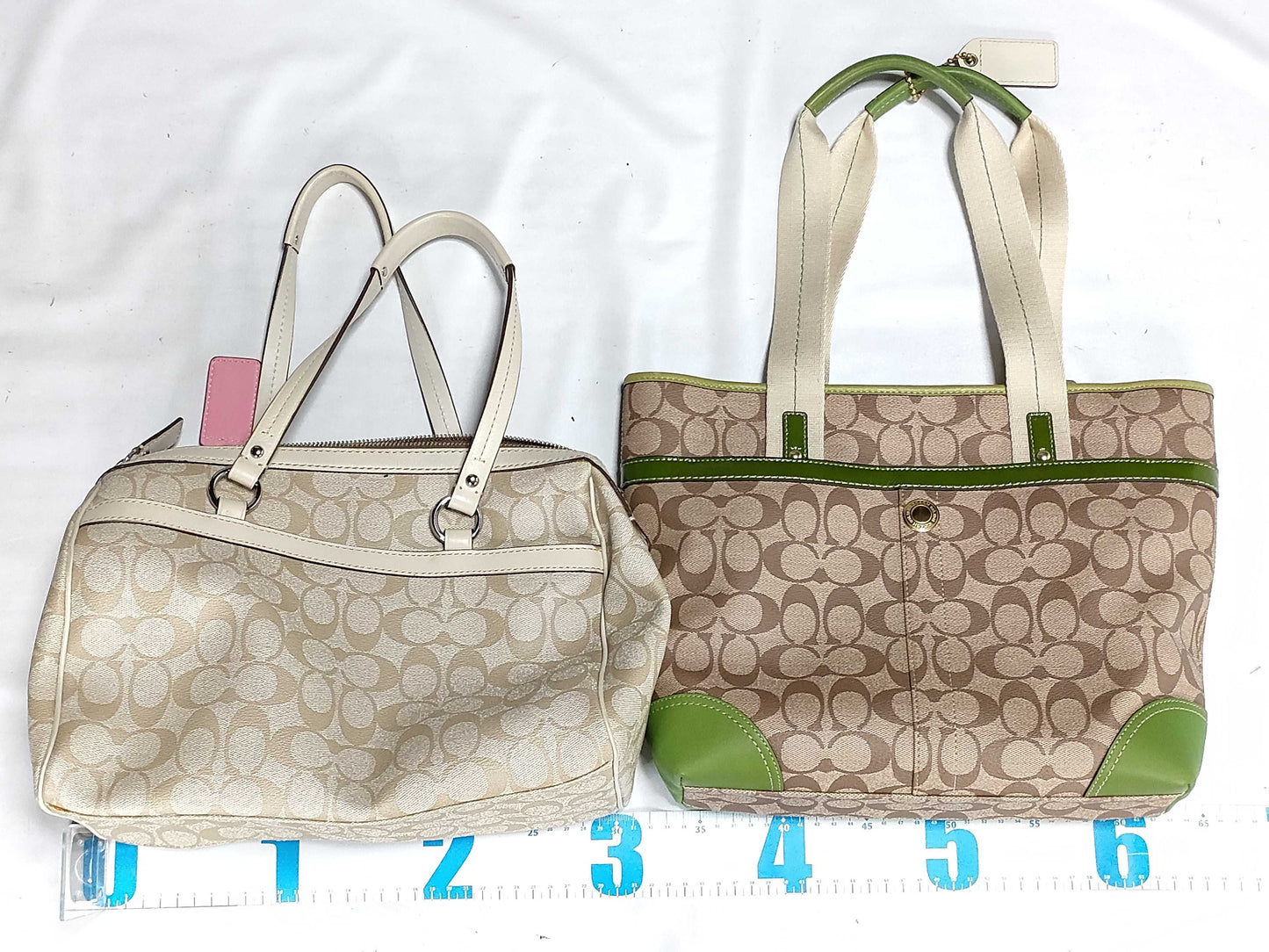 COACH Signature 2-Piece Handbag Set
