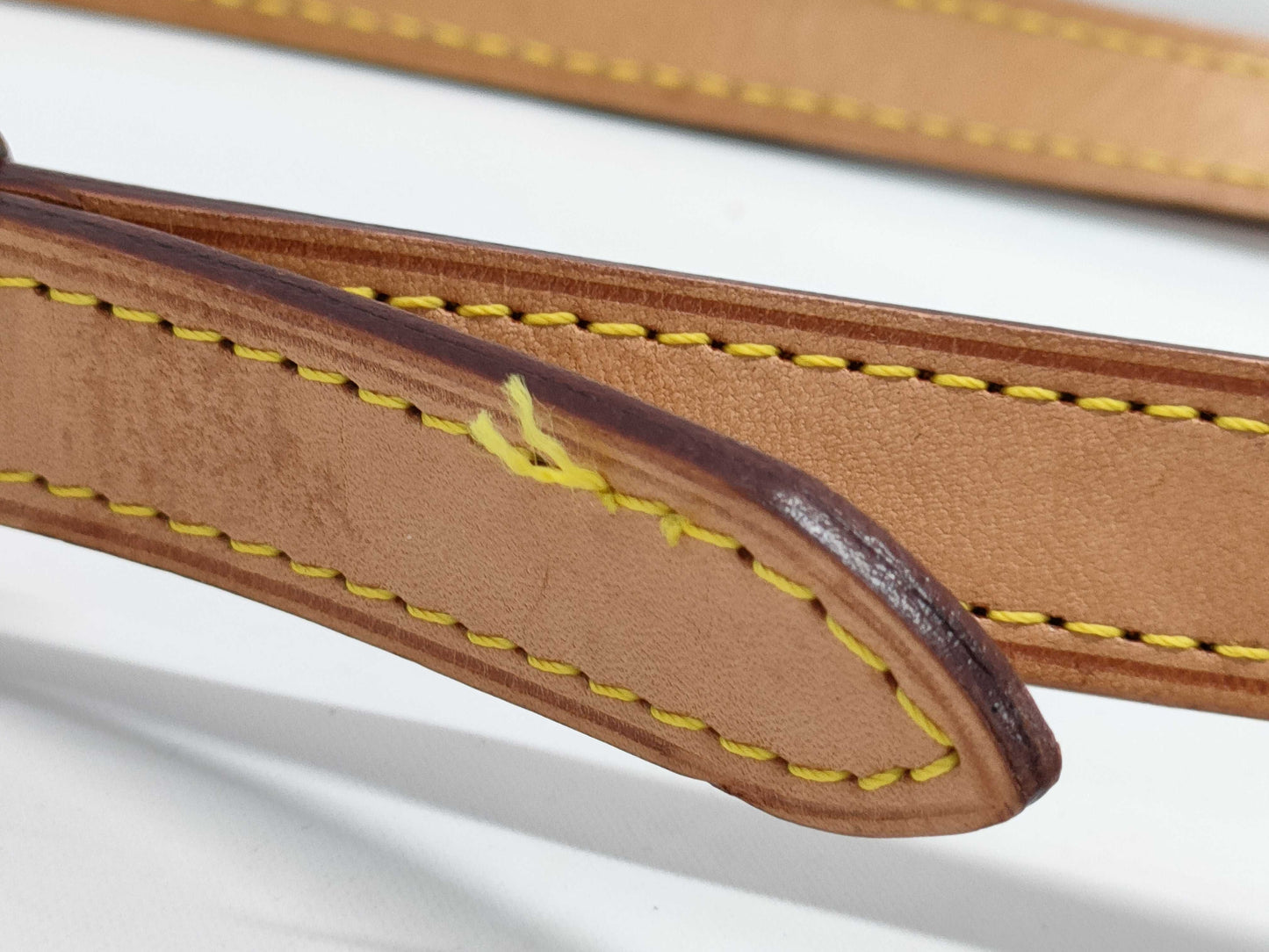 LOUIS VUITTON Monogram Musette Salsa Shoulder Bag