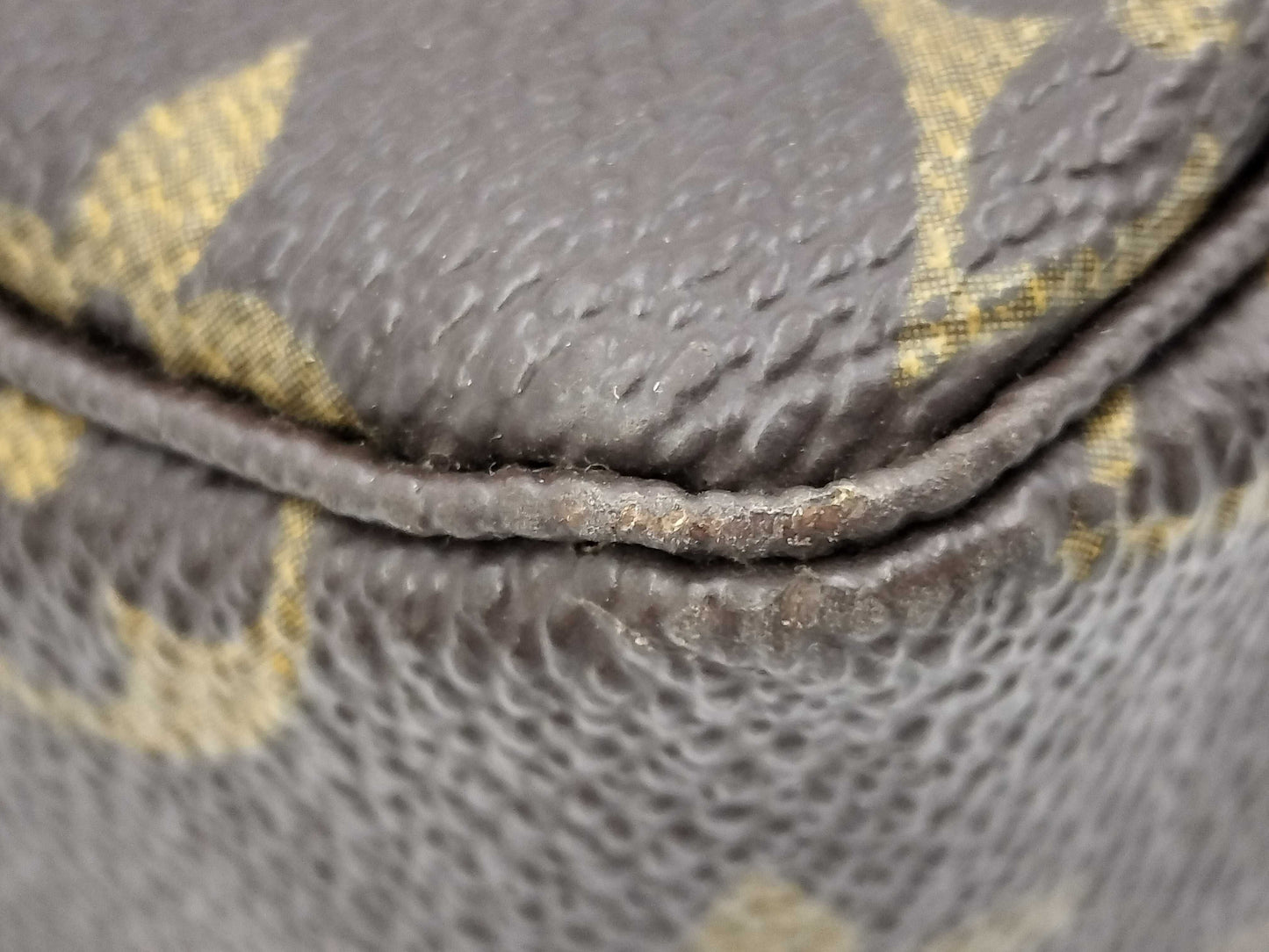 LOUIS VUITTON Monogram M47522 True Toilet Pouch