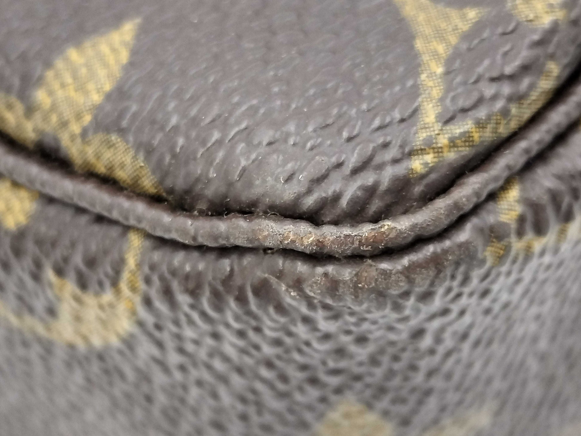 LOUIS VUITTON Monogram M47522 True Toilet Pouch