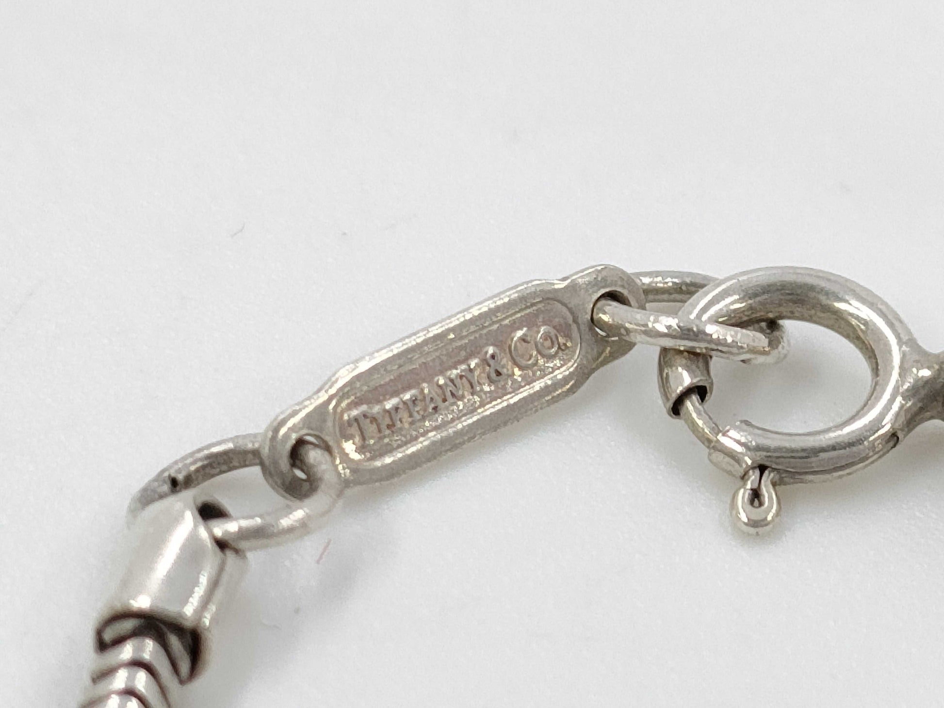 Tiffany & Co. Plate Necklace Necklace