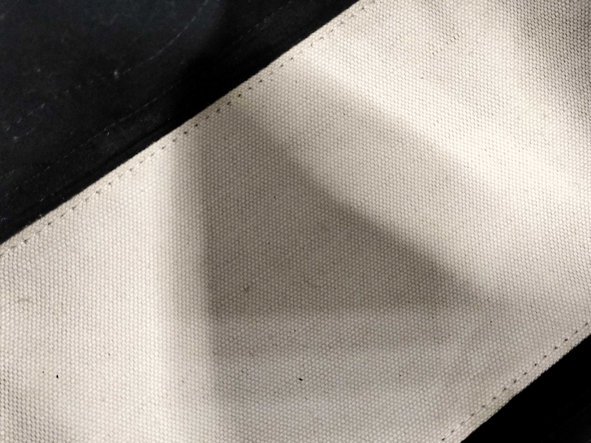 BALENCIAGA canvas and leather tote bag
