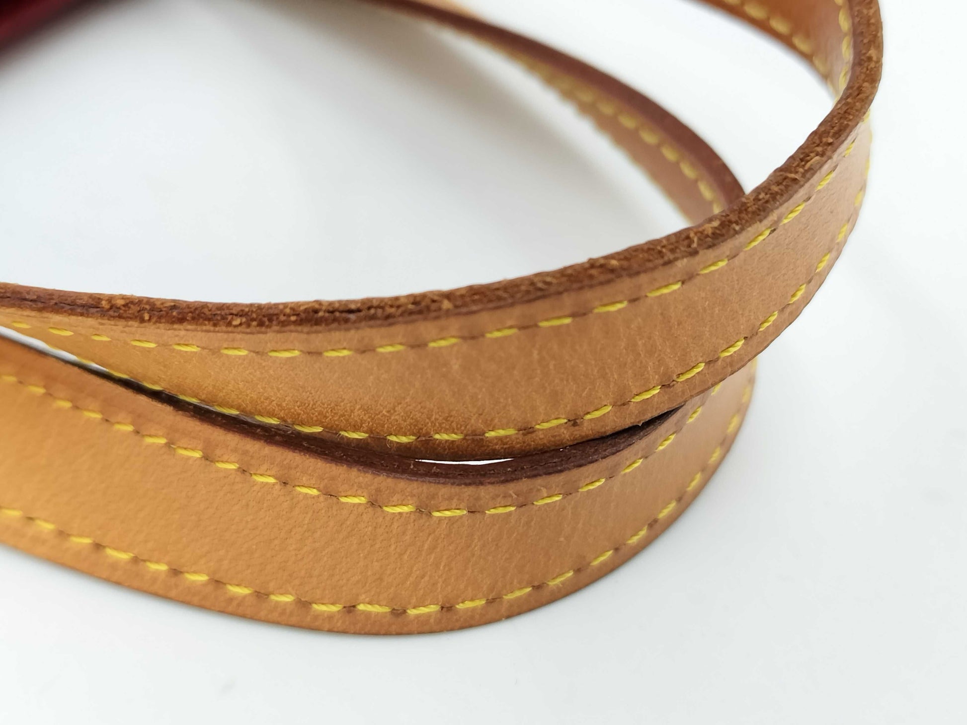 LOUIS VUITTON Vernis Reed PM Handbag