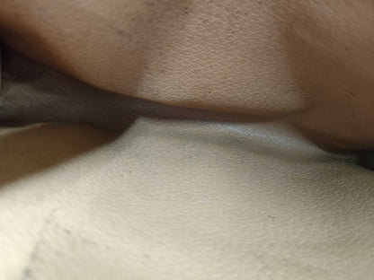 CELINE Second Bag/Shoulder Bag 