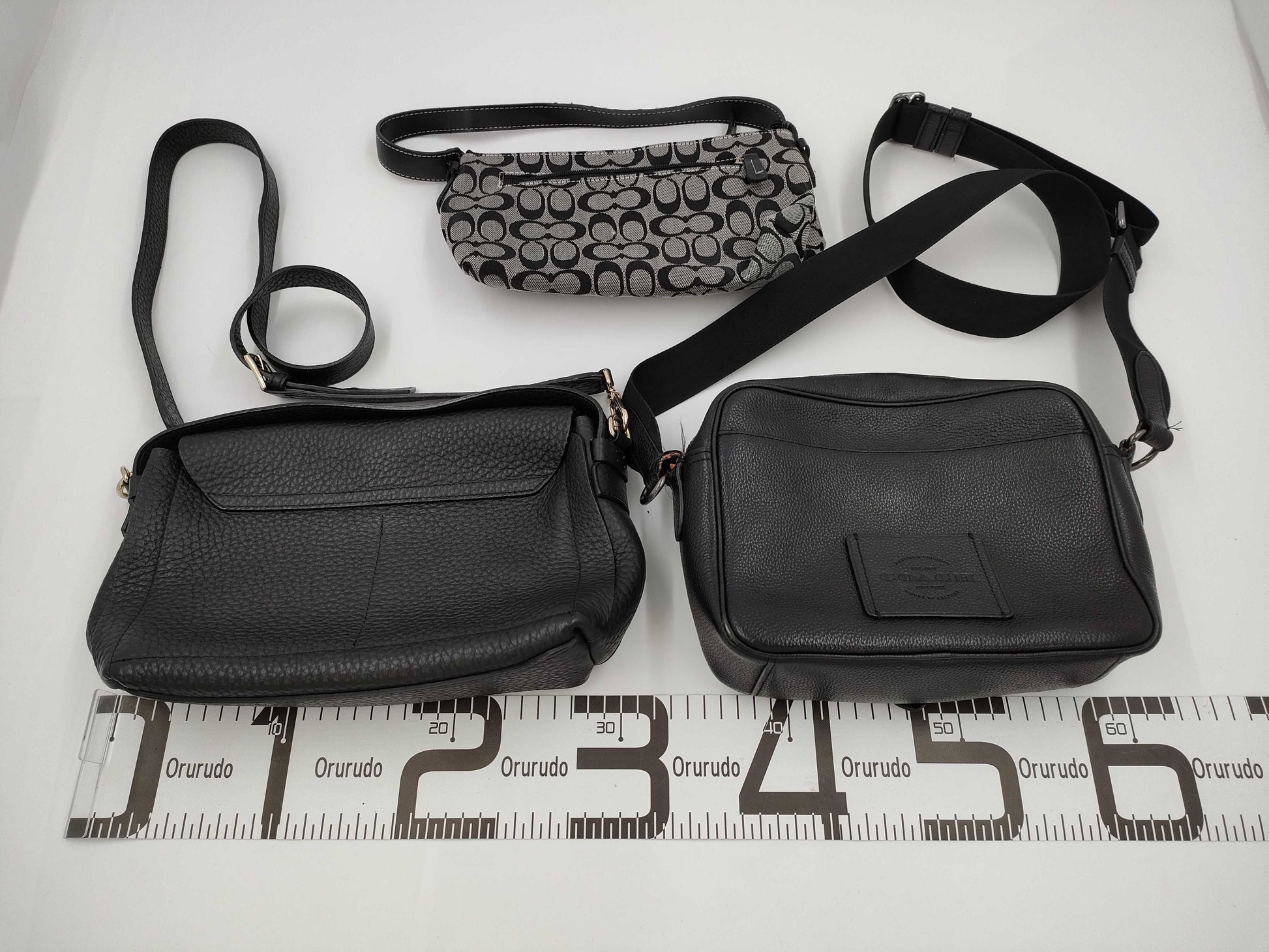 COACH Signature Pouch and Furla 3-Piece Shoulder Bag