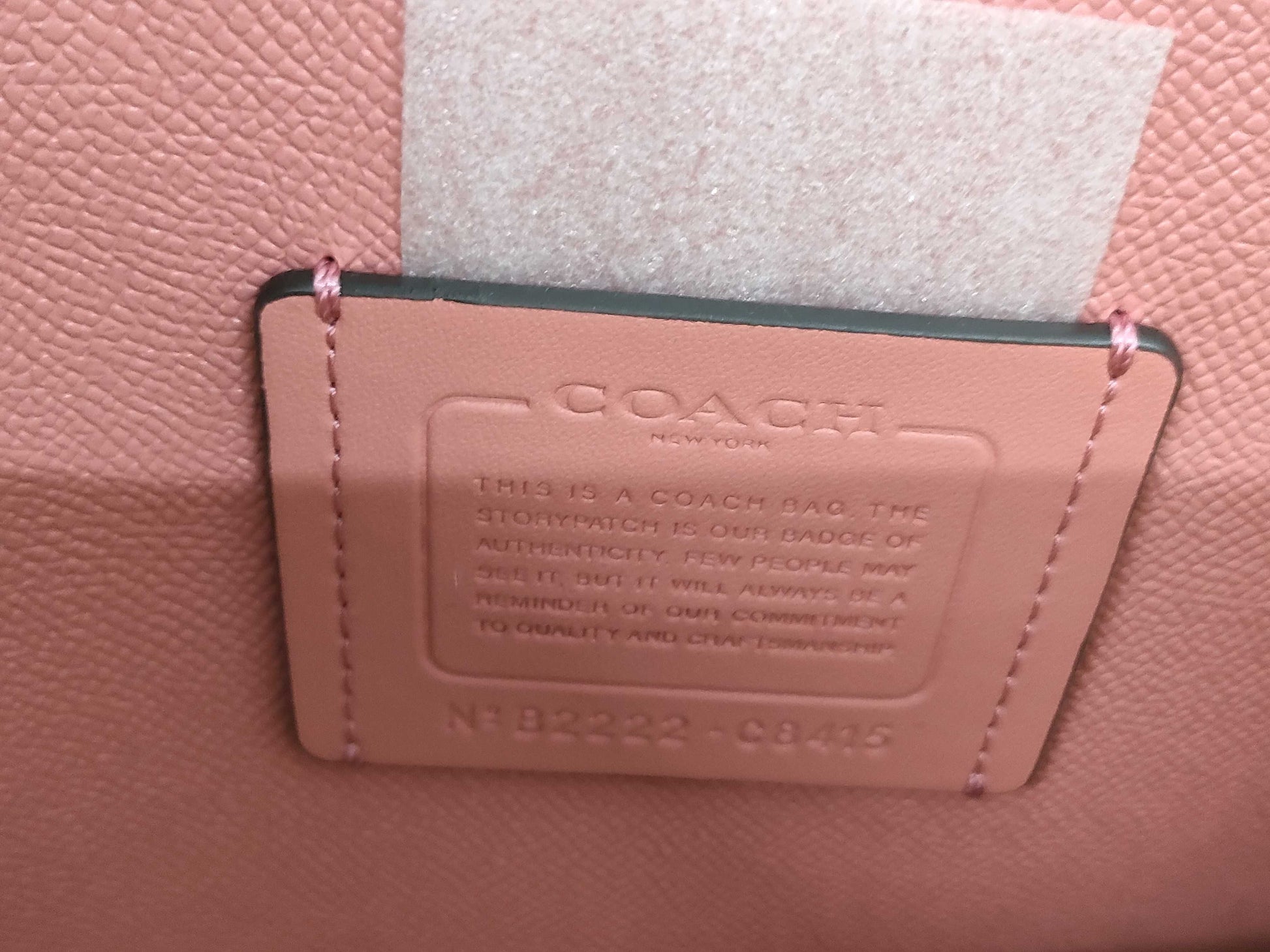 COACH Signature C8415 Tote Bag