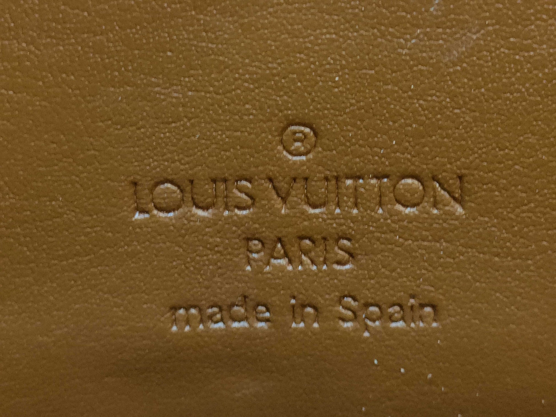 LOUIS VUITTON Vernis Houston Handbag