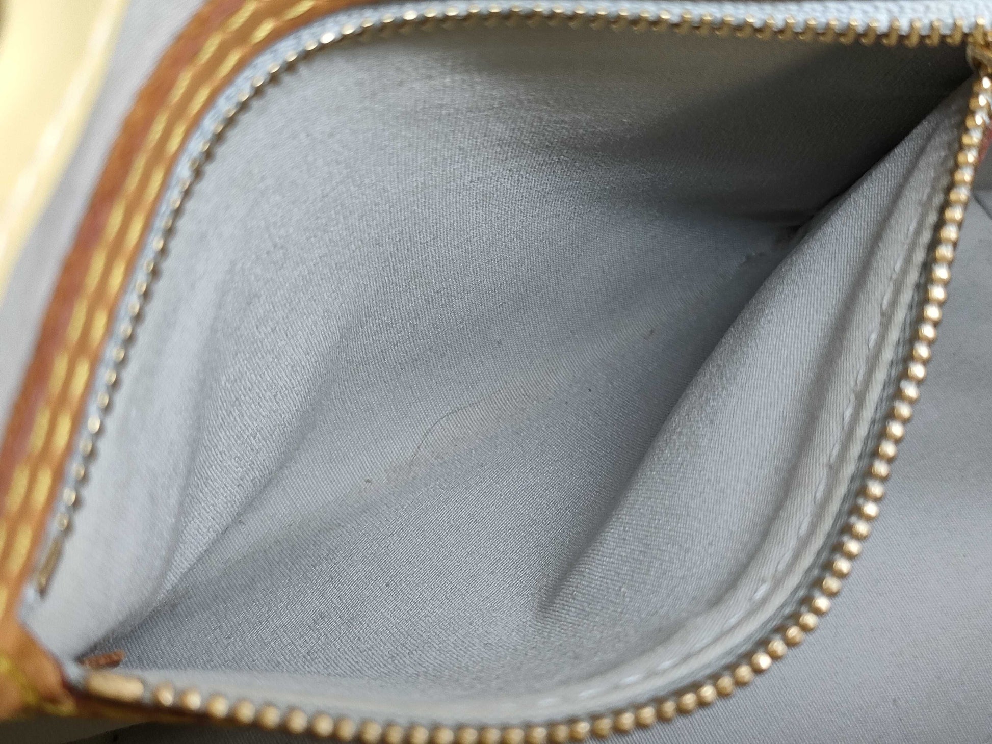 LOUIS VUITTON Vernis Reed PM Handbag