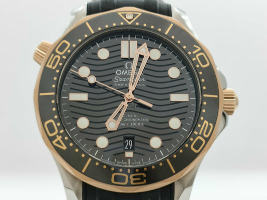 OMEGA 210.22.42.20.01.002 83938685 Automatic Men's Watch