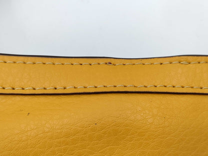 COACH bag set bag