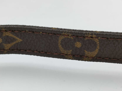 LOUIS VUITTON Monogram Amazon Shoulder Bag