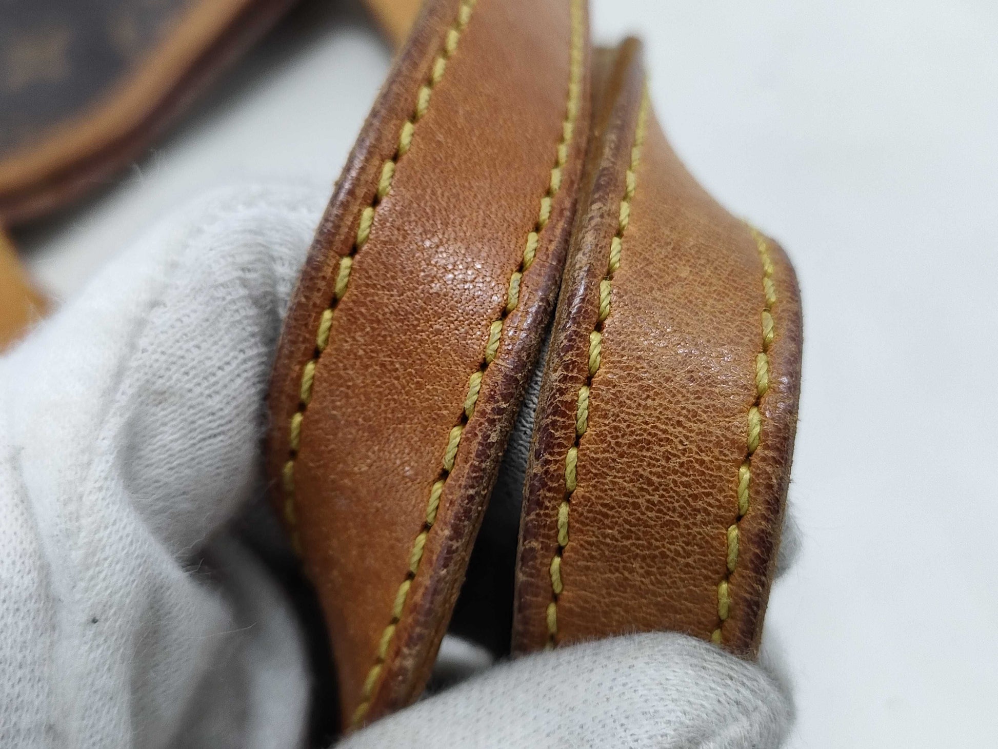 LOUIS VUITTON Monogram Bucket GM Tote Bag