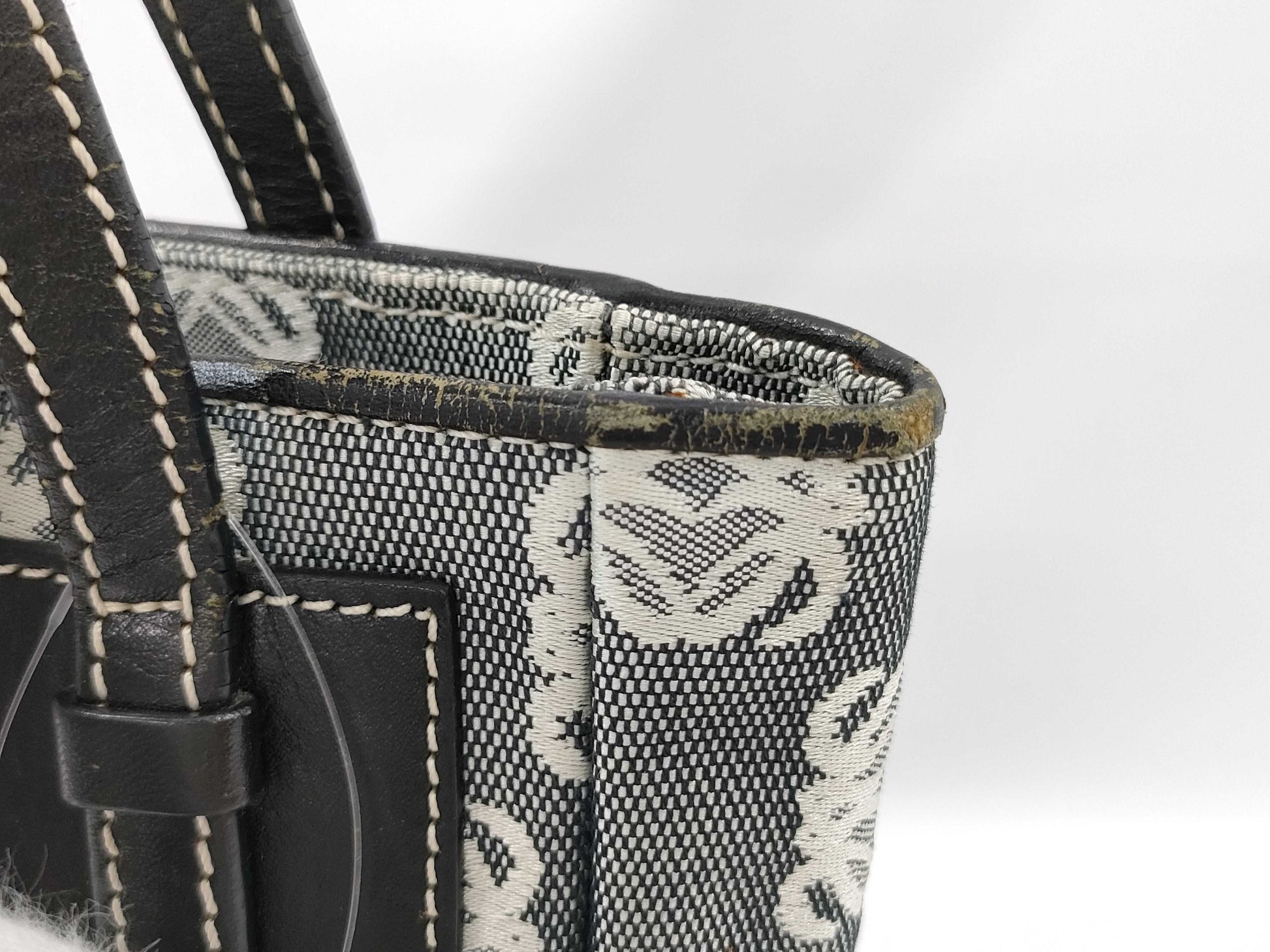 LOEWE Amazona Mini Handbag
