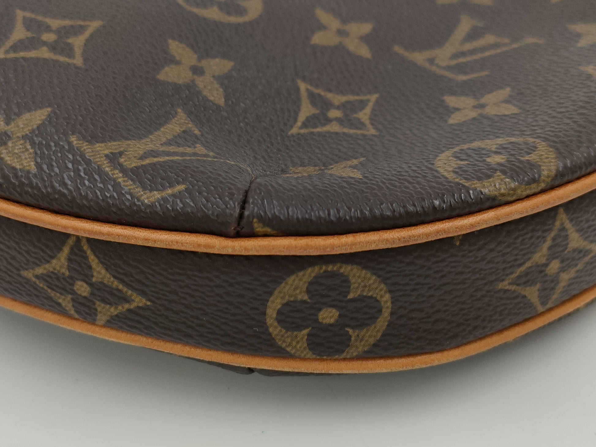 LOUIS VUITTON Monogram Pochette Croissant Handbag