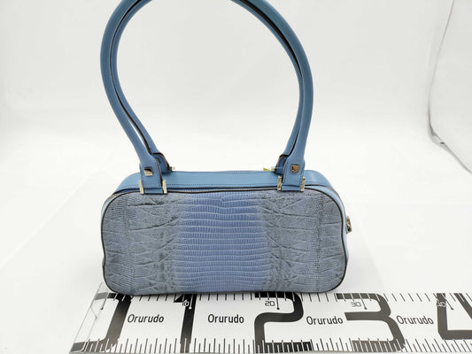Salvatore Ferragamo Handbag/Python/Blue Handbag